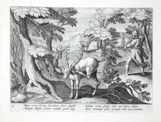 Comme un cerf gratte ses bois avec son pied, un chasseur, les deux pieds en avant, tire une flèche dans les airs, illustration de 